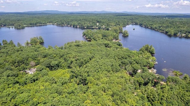 396 Mica Point Rd, Barrington, NH 03825 - drone / aerial view of a forest and a large body of water