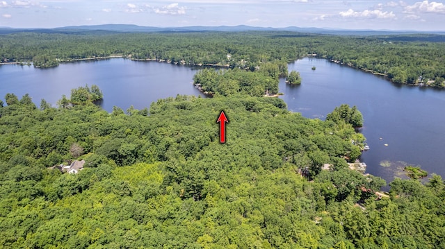 396 Mica Point Rd, Barrington, NH 03825 - aerial view of a forest and a large body of water