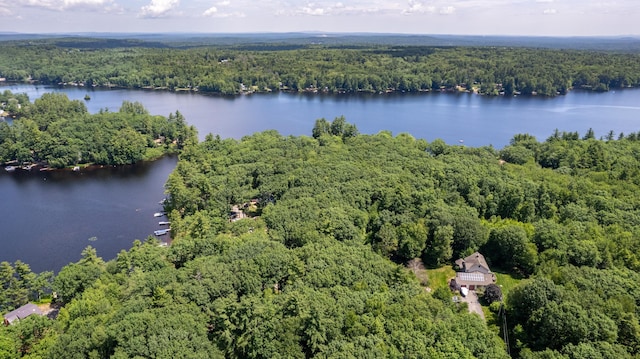 396 Mica Point Rd, Barrington, NH 03825 - aerial view of property and surrounding area featuring a forest and a large body of water
