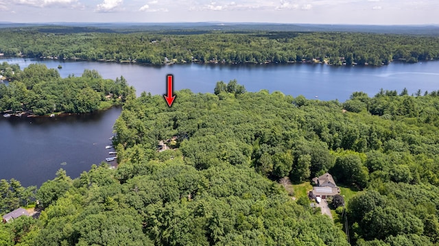 396 Mica Point Rd, Barrington, NH 03825 - aerial view of property's location with a heavily wooded area and a large body of water