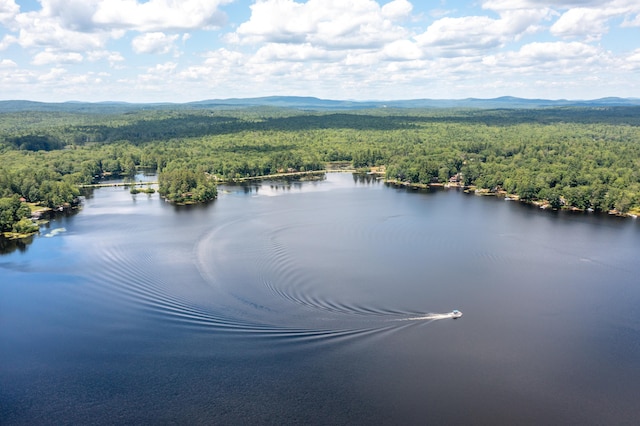 396 Mica Point Rd, Barrington, NH 03825 - bird's eye view of a forest and a water and mountain view