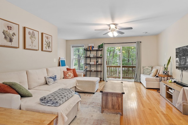 317 Old Concord Tpke Unit 1, Barrington, NH 03825 - living room with plenty of natural light, a ceiling fan, and wood finished floors