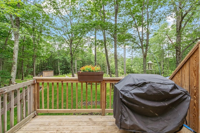 317 Old Concord Tpke Unit 1, Barrington, NH 03825 - wooden terrace with grilling area and a shed
