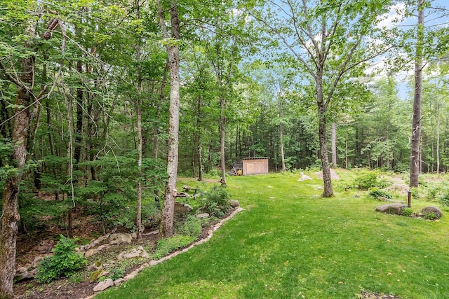 317 Old Concord Tpke Unit 1, Barrington, NH 03825 - view of green lawn featuring a storage shed and a wooded view