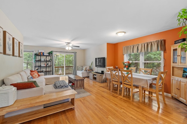 317 Old Concord Tpke Unit 1, Barrington, NH 03825 - living room with light wood-style flooring and ceiling fan