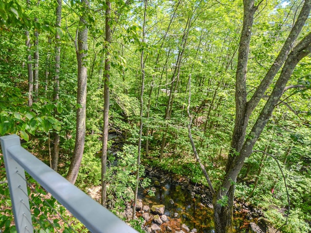 1043 Main St, Sunapee, NH 03751 - view of wooded area