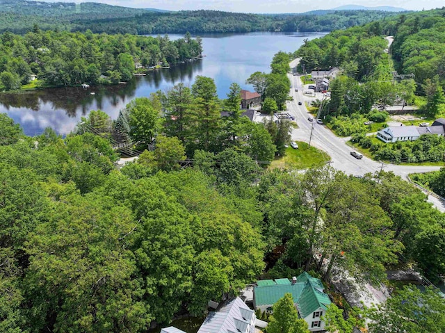 1043 Main St, Sunapee, NH 03751 - bird's eye view of a forest and a large body of water