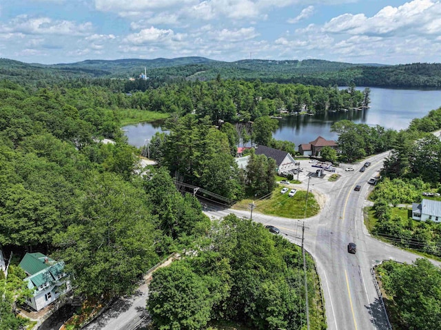 1043 Main St, Sunapee, NH 03751 - view of property location with a heavily wooded area and a nearby body of water