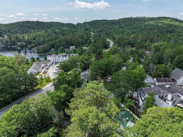 1043 Main St, Sunapee, NH 03751 - drone / aerial view of a heavily wooded area and a nearby body of water