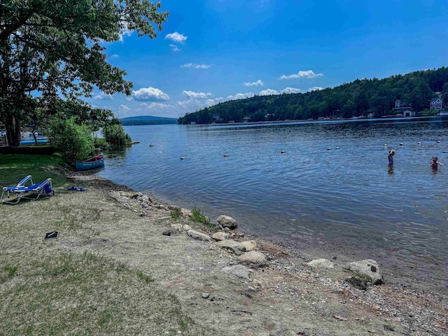 1043 Main St, Sunapee, NH 03751 - water view with a heavily wooded area