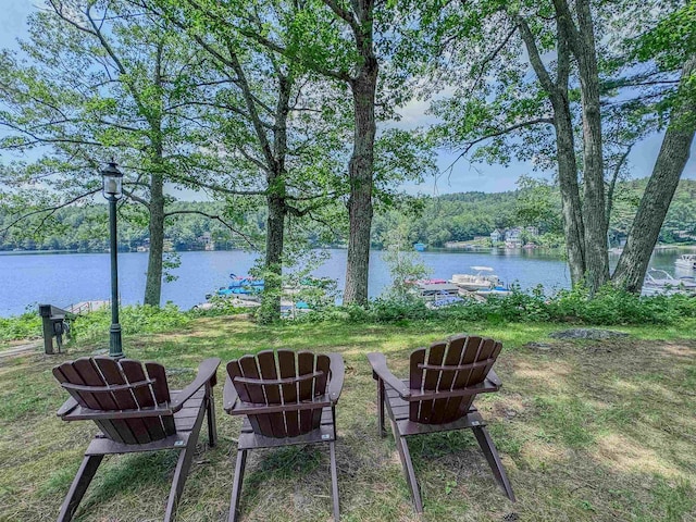 1043 Main St, Sunapee, NH 03751 - view of yard with a water view