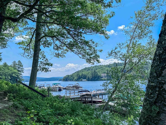 1043 Main St, Sunapee, NH 03751 - dock with a water view and a forest view