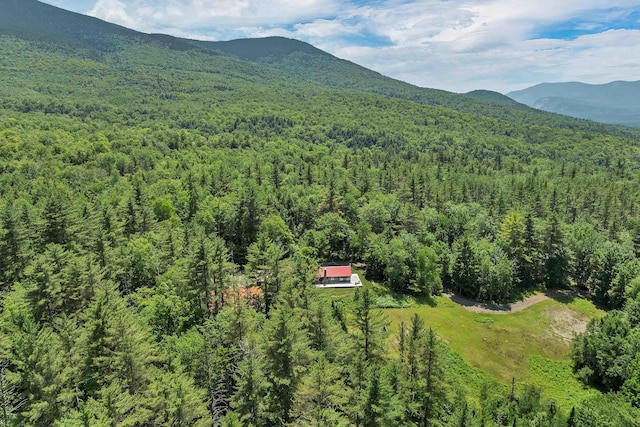 83 Towle Rd, Jackson, NH 03846 - view of mountain backdrop featuring a heavily wooded area