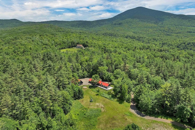 83 Towle Rd, Jackson, NH 03846 - bird's eye view of a heavily wooded area