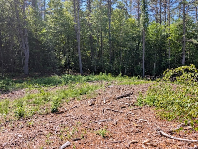 11-02 Old Stagecoach Rd, Hopkinton, NH 03229