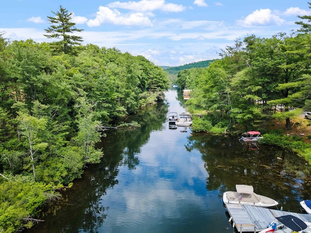 74 Scenic View Rd, Ashland, NH 03217 - water view with a dock
