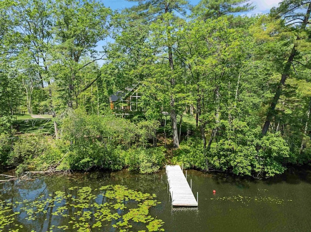 74 Scenic View Rd, Ashland, NH 03217 - dock featuring a water view