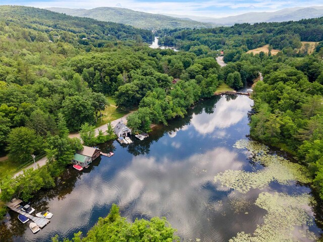 74 Scenic View Rd, Ashland, NH 03217 - bird's eye view of a water and mountain view and a forest