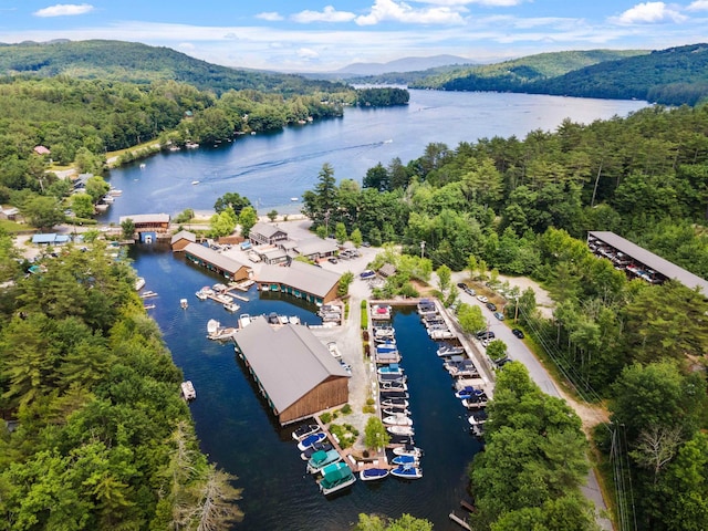 74 Scenic View Rd, Ashland, NH 03217 - drone / aerial view of a water and mountain view and a heavily wooded area