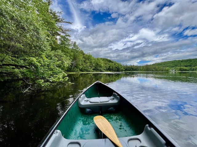 74 Scenic View Rd, Ashland, NH 03217 - dock area with a view of trees and a water view