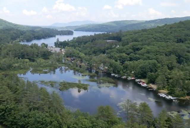 74 Scenic View Rd, Ashland, NH 03217 - bird's eye view of a heavily wooded area and a water and mountain view