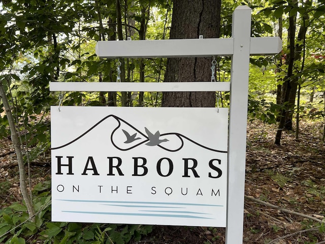 74 Scenic View Rd, Ashland, NH 03217 - view of community sign