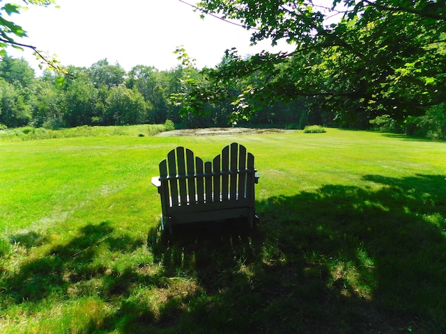 43 Knights Pond Rd, South Berwick, ME 03908 - view of grassy yard