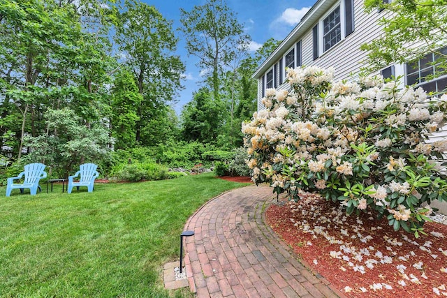 21 Winter Dr, Hooksett, NH 03106 - view of grassy yard