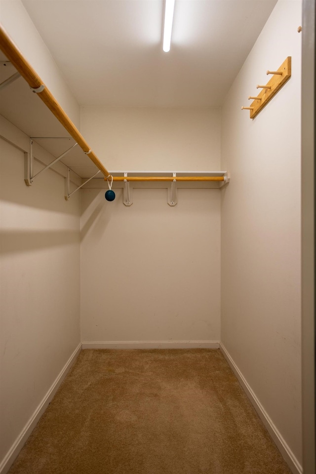 144 Packers Falls Rd, Durham, NH 03824 - walk in closet with carpet