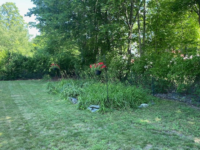34 Dewey St, Springfield, VT 05156 - view of green lawn
