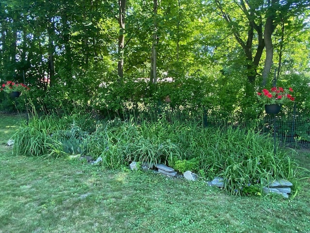 34 Dewey St, Springfield, VT 05156 - view of nature