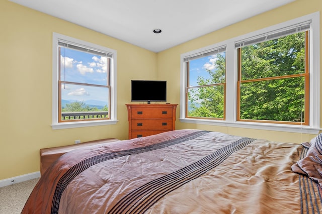 53 Ammonoosuc Dr, Bartlett, NH 03812 - carpeted bedroom featuring multiple windows