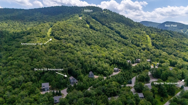 53 Ammonoosuc Dr, Bartlett, NH 03812 - bird's eye view of a heavily wooded area and mountains
