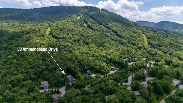 53 Ammonoosuc Dr, Bartlett, NH 03812 - aerial overview of property's location featuring a heavily wooded area and property parcel outlined