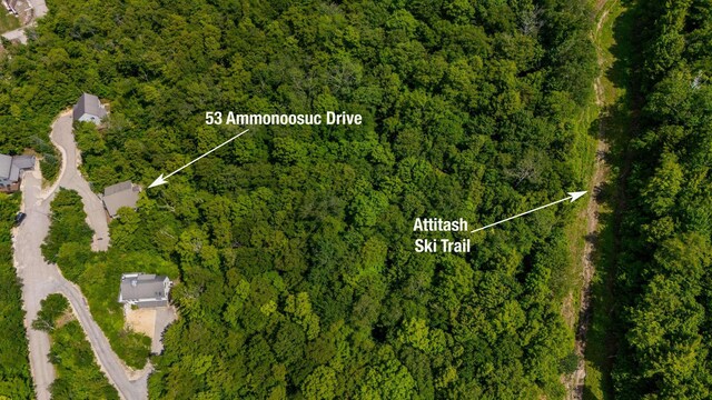 53 Ammonoosuc Dr, Bartlett, NH 03812 - map of property location