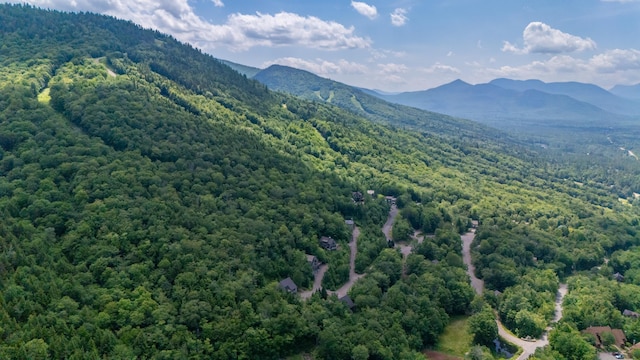 53 Ammonoosuc Dr, Bartlett, NH 03812 - view of mountain background with a forest