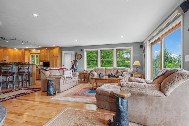53 Ammonoosuc Dr, Bartlett, NH 03812 - living room featuring light wood-type flooring, healthy amount of natural light, and recessed lighting
