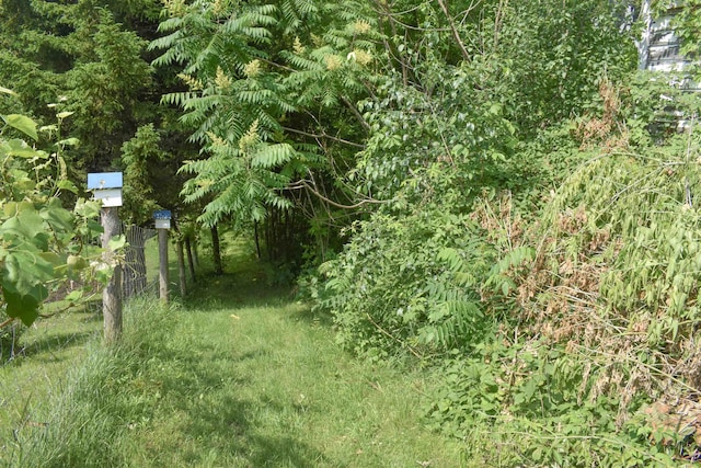 71 Maple St, Brandon, VT 05733 - view of nature