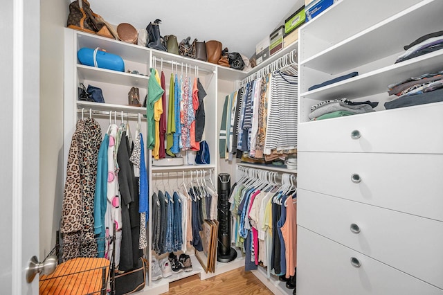 4 Chestnut St, Hudson, NH 03051 - view of spacious closet