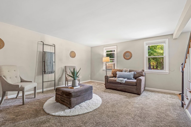 5 Catskill Dr, Merrimack, NH 03054 - living room featuring carpet floors and baseboards