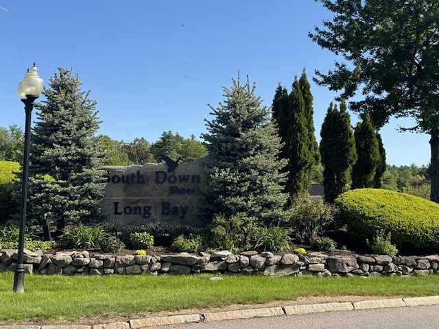 23 Surrey Ln, Laconia, NH 03246 - view of community