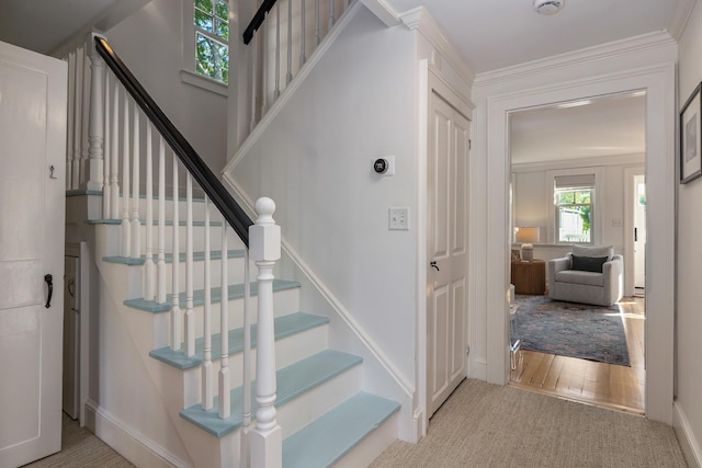 45 Atlantic Ave, North Hampton, NH 03862 - stairs featuring carpet floors and crown molding