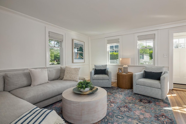 45 Atlantic Ave, North Hampton, NH 03862 - living room featuring wood finished floors and crown molding