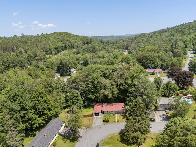 16 Brierbrook Ln, Springfield, VT 05156 - bird's eye view of a forest