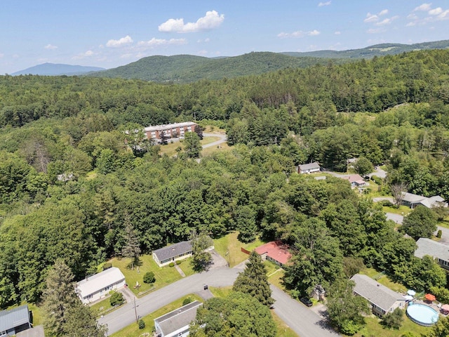 16 Brierbrook Ln, Springfield, VT 05156 - bird's eye view of a heavily wooded area and mountains