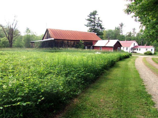 70 Wild Ammonoosuc Rd, Haverhill, NH 03785 - view of yard featuring dirt driveway