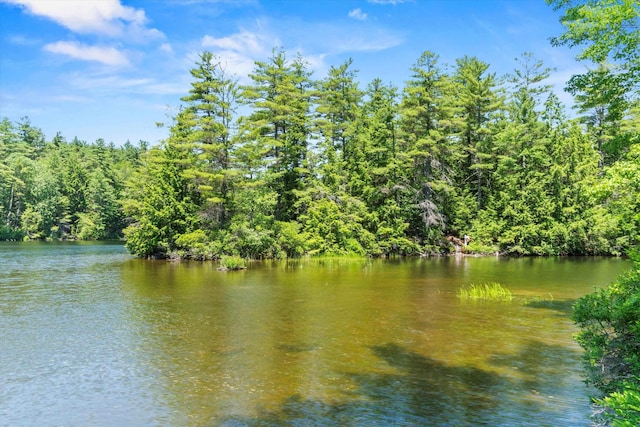 73 Lost Ln, Deering, NH 03244 - water view with a heavily wooded area