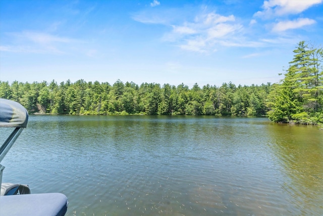 73 Lost Ln, Deering, NH 03244 - water view with a forest