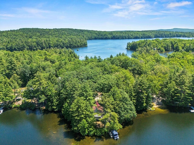 73 Lost Ln, Deering, NH 03244 - aerial overview of property's location with a heavily wooded area and a nearby body of water
