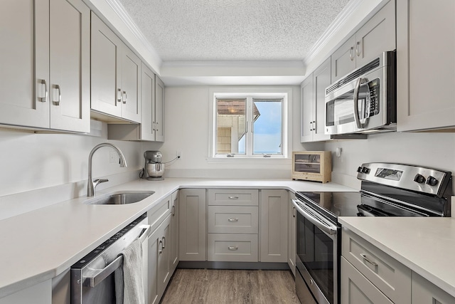 407 Ocean Blvd Unit A11, Hampton, NH 03842 - kitchen featuring appliances with stainless steel finishes, a textured ceiling, ornamental molding, light countertops, and wood finished floors